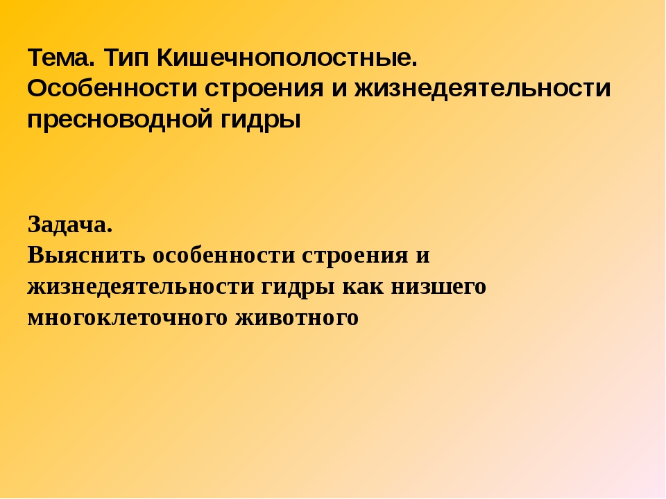 Ссылки на сайты даркнета