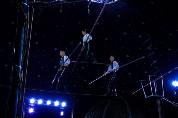 Какой кракен сейчас работает