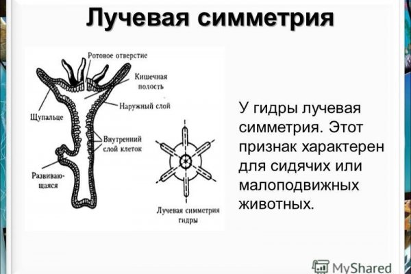 Kraken ссылка зеркало рабочее