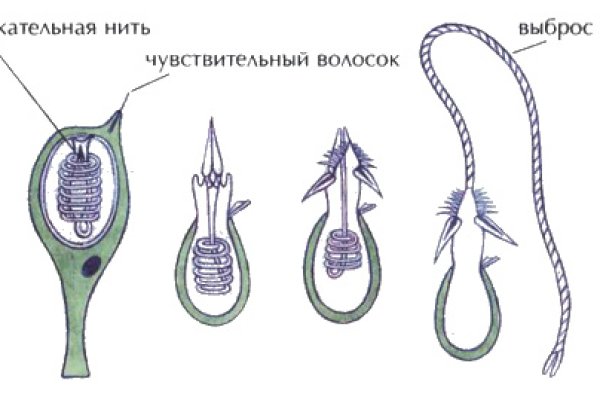 Кракен даркнет маркет плейс